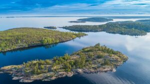 Сохранение национальных рыбных запасов — приоритет: Ладожское озеро пополнили молодью сига