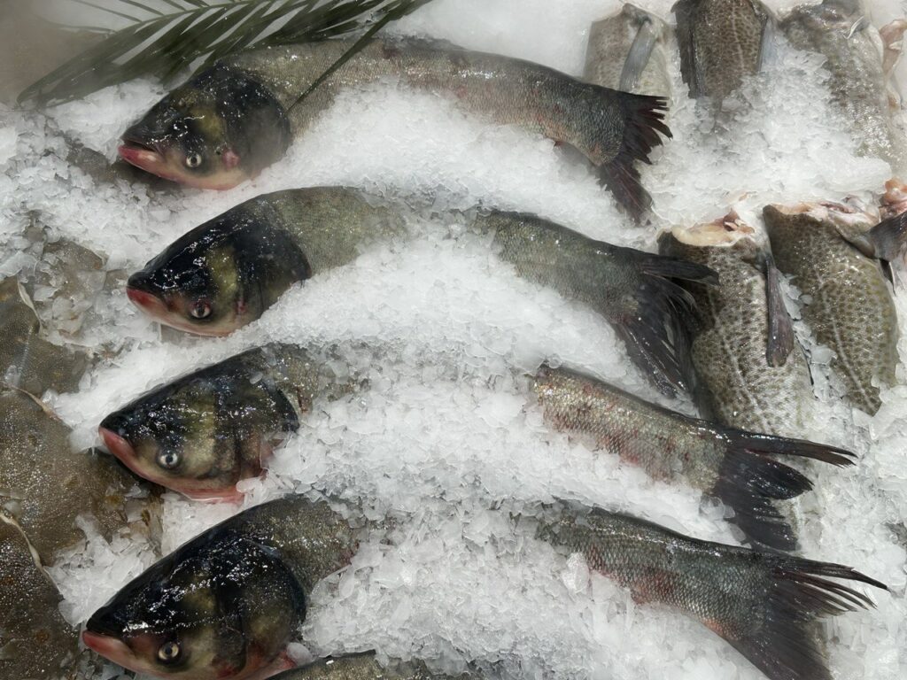 ВНИРО: популяризация рыбной продукции