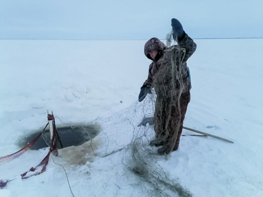 На Ямале задержали браконьера, выловившего краснокнижного осетра