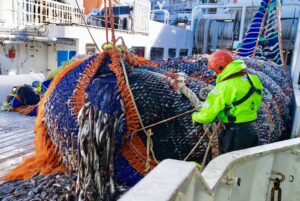 Отечественные рыбаки преодолели планку в 1 млн тонн