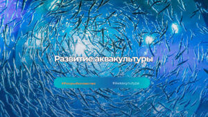 Развитие аквакультуры важно в каждом регионе РФ: в Башкортостане создают привлекательную инвестиционную среду для развития рыбоводства