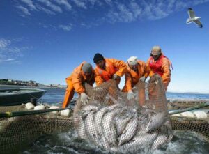 Устойчивый и рациональный промысел: пользователи рыболовных участков получили полномочия контроля для предупреждения правонарушений