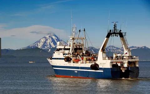 Положительная динамика промысла сохраняется: к 28 мая отечественные рыбаки добыли более 2,1 млн тонн