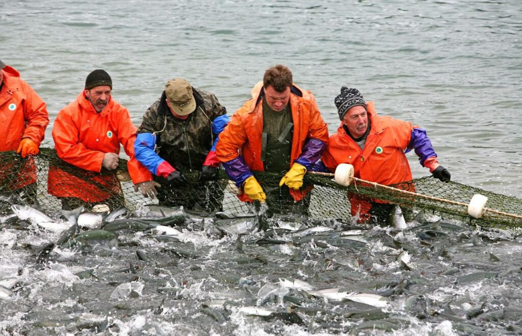 Промежуточные итоги путины обсудили в Камчатском крае: регион будет наращивать обороты лососевого промысла