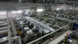 Сахалинская область: в ближайшие 5 лет в регионе удвоятся объёмы искусственного воспроизводства и переработки рыбы
