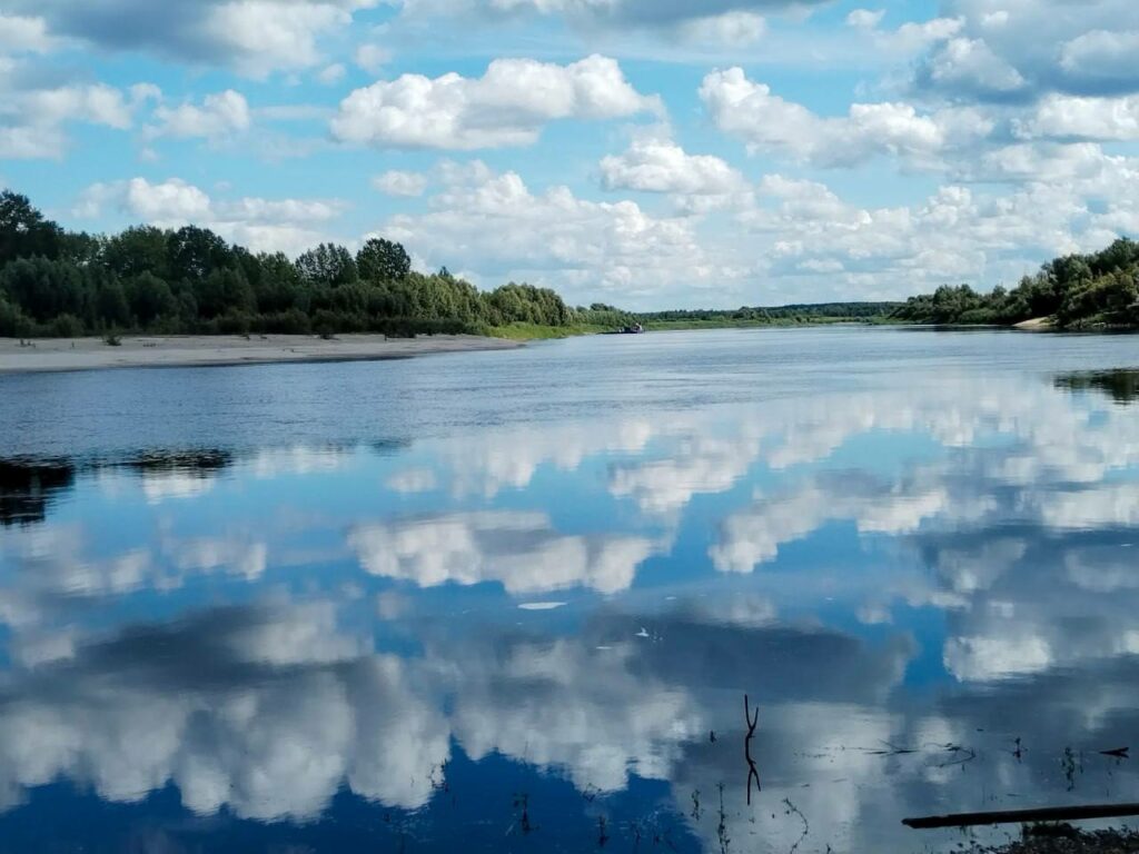 В реки Свердловской области Каква и Тавда выпущено более 224 тыс. мальков стерляди