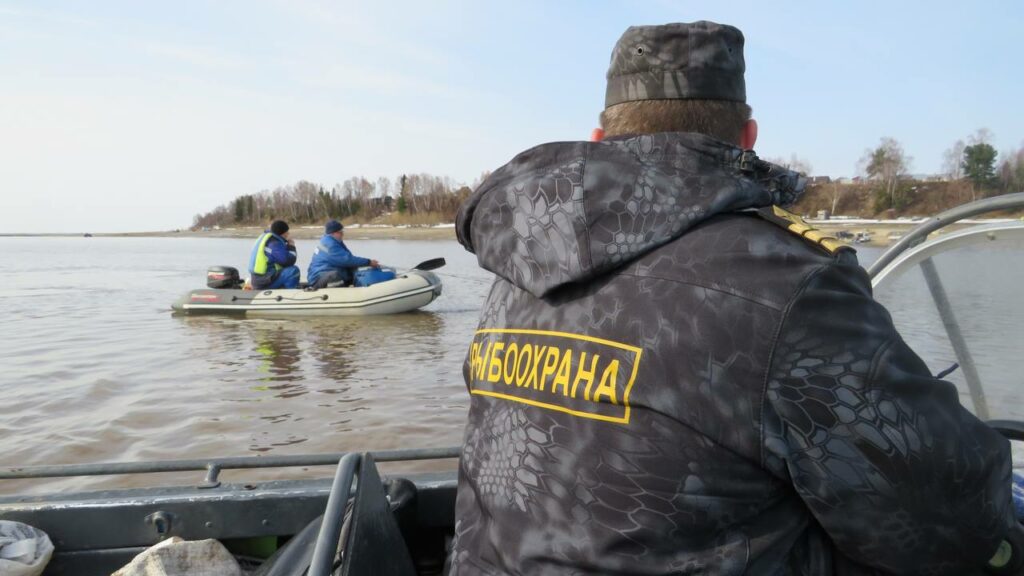 Росрыболовство оценило ущерб от действий браконьеров в возвращенных исторических регионах