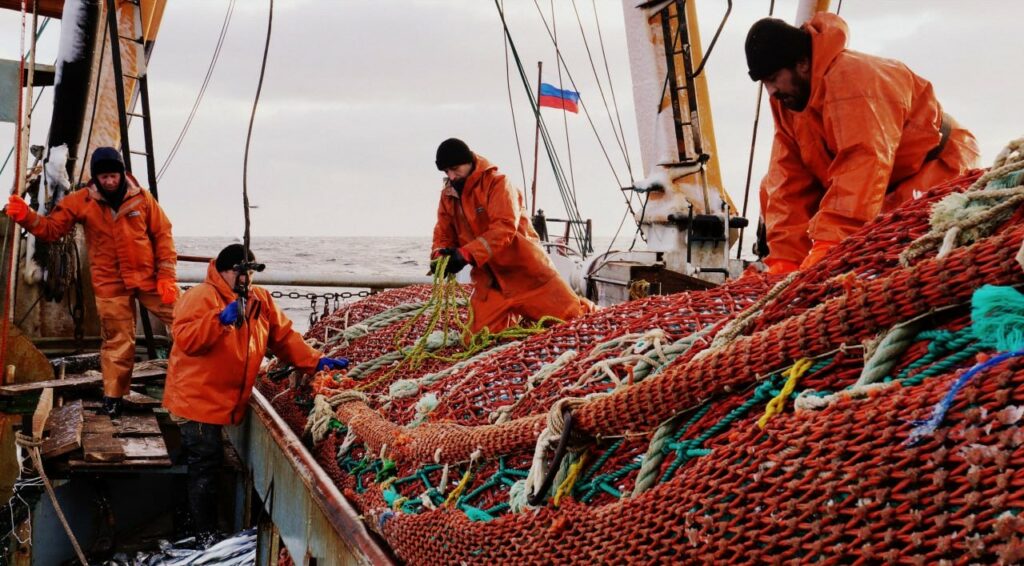 Российские рыбаки добыли больше 1,4 млн тонн водных биоресурсов