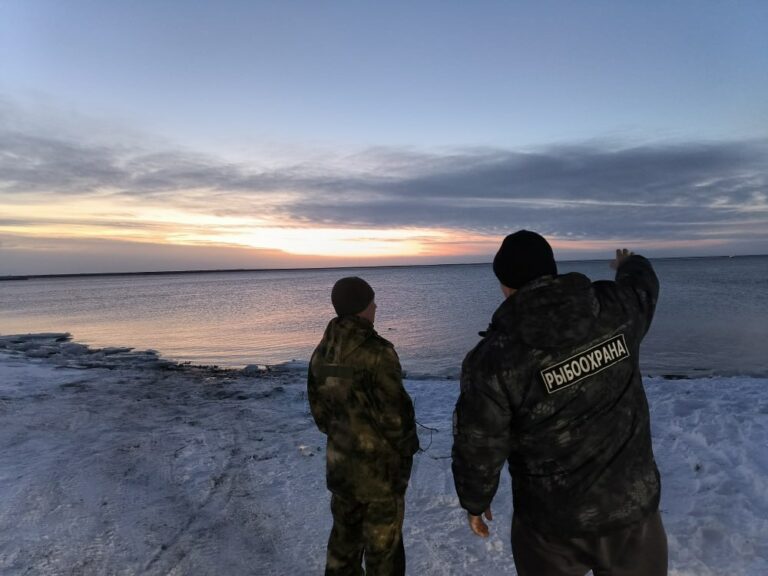 Правила рыболовства в период нереста