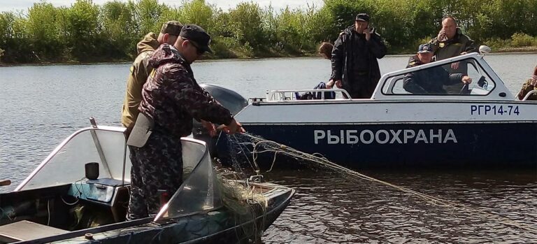 Рыбоохрана работает в режиме постоянного рейда: количество выявленных нарушений природоохранного законодательства выросло