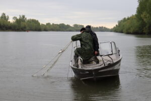 Верхнеобское ТУ Росрыболовства приняло участие во всероссийской экологической акции «День без сетей»