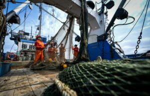 С начала года российские рыбаки добыли свыше 2,2 млн тонн водных биоресурсов