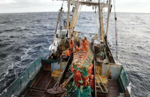 Общероссийский вылов водных биоресурсов превысил 2,1 млн тонн