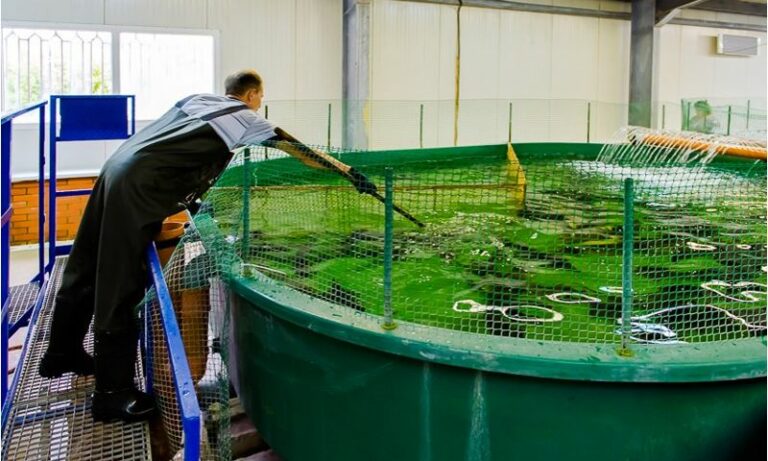 Востребованные специальности в рыбохозяйственном комплексе: рыбовод