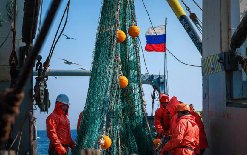 Общероссийский вылов достиг порядка 3,4 млн тонн
