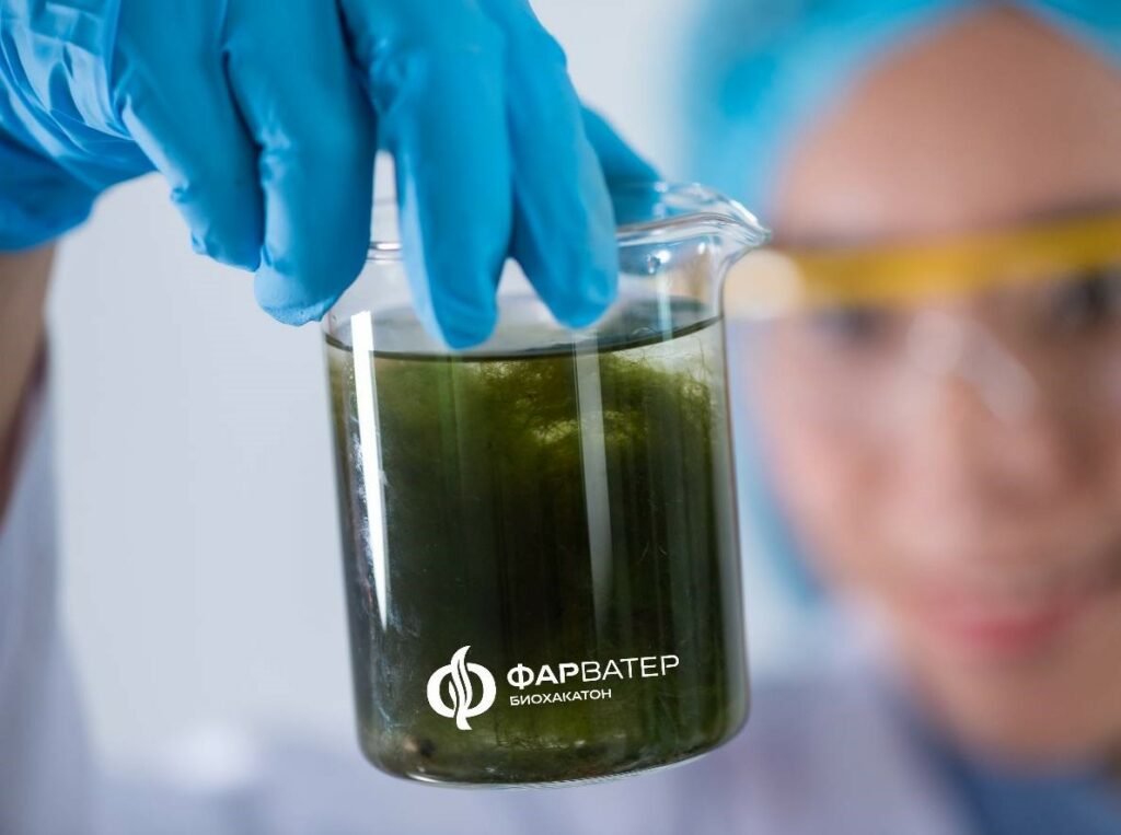 Росрыболовство проведет Всероссийский биохакатон «Фарватер»: студенты и аспиранты со всей страны представят инновационные проекты в области выращивания, добычи и переработки водорослей