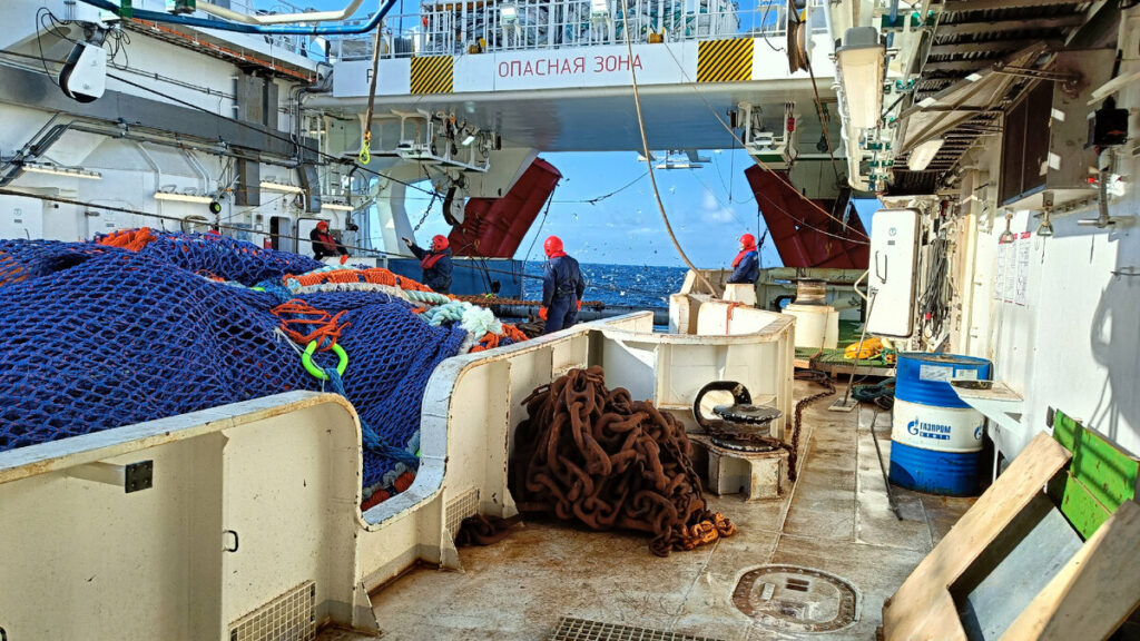 Общероссийский вылов водных биоресурсов превысил 3 млн тонн