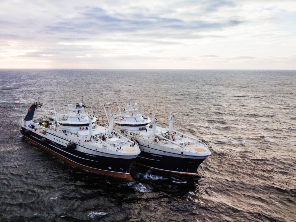 Россия и Индия договорились о сотрудничестве в области рыболовства