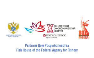ВЭФ-2025: в этом году гостей Рыбного дома Росрыболовства знакомят с народной кухней Приморского края