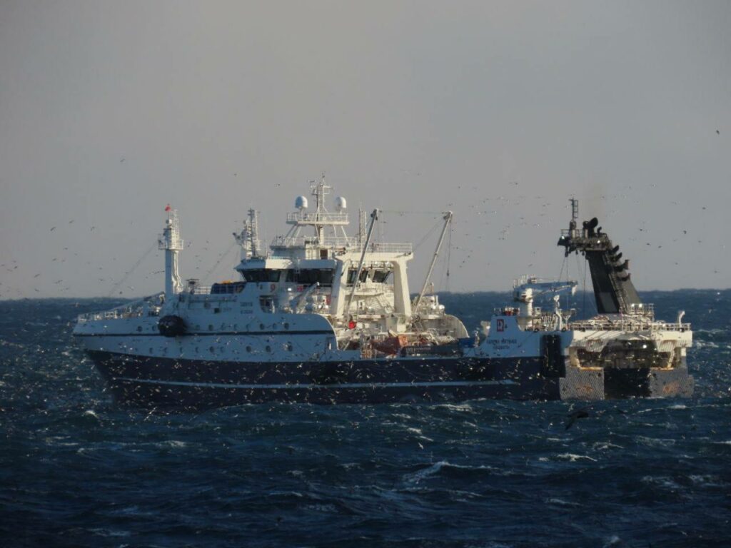 Общероссийский вылов превысил 3,5 млн тонн