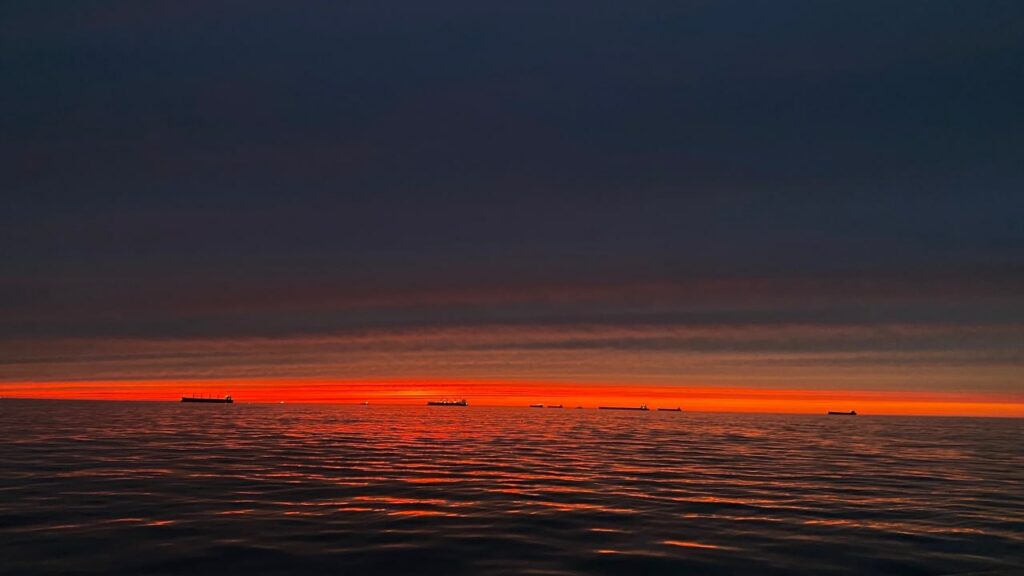 Российские рыбаки наращивают объемы вылова: добыто более 3,6 млн тонн водных биоресурсов