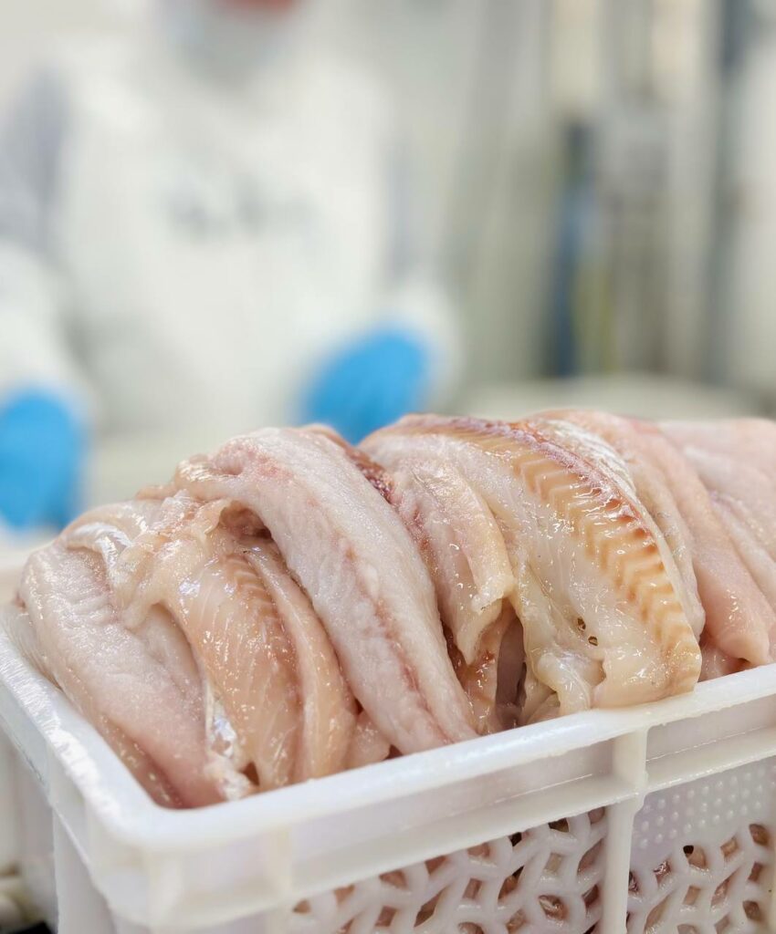 От сырья к ценному продукту: модернизация рыбной отрасли приносит России значительную экспортную выручку