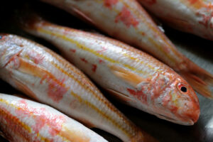 На Черноморье начался промысловый сезон барабули