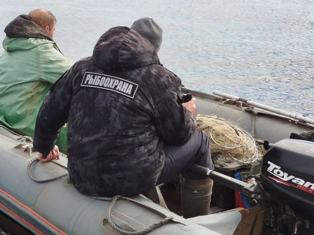 Итоги деятельности рыбоохраны Северо-Западного ТУ Росрыболовства за сентябрь 2025 года