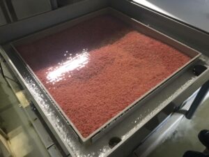 На рыбоводных заводах Сахалинской области проводится инвентаризация заложенной на инкубацию икры тихоокеанских лососей