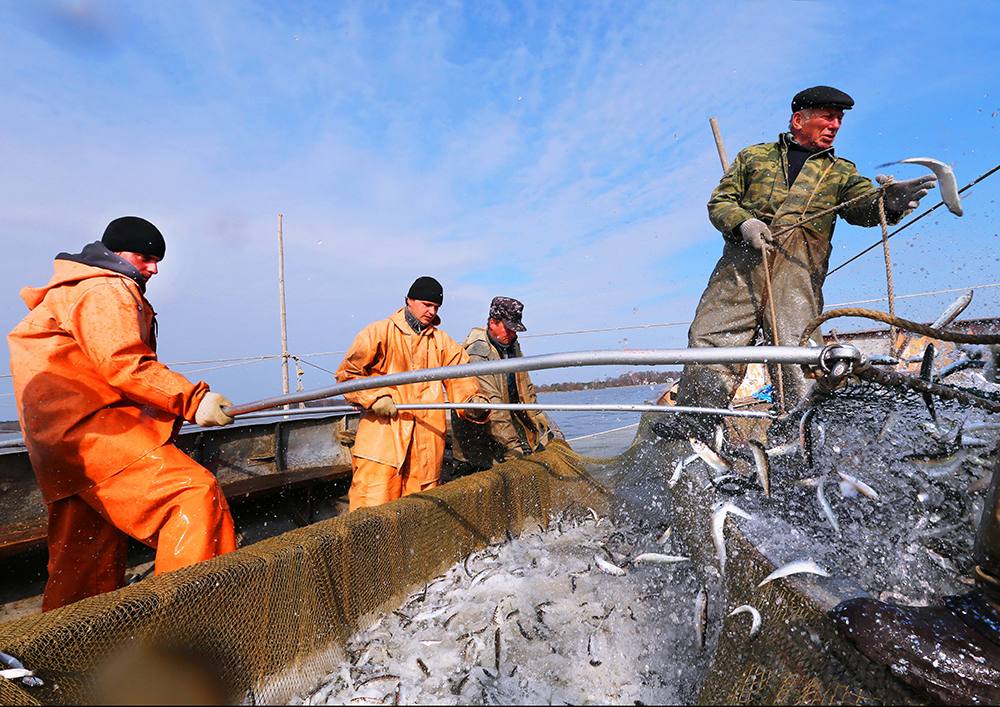 Росрыбколхозсоюзу 40 лет: вклад работников рыболовецких колхозов в развитие отрасли