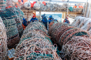 Российские рыбаки освоили свыше 4,1 млн тонн водных биоресурсов