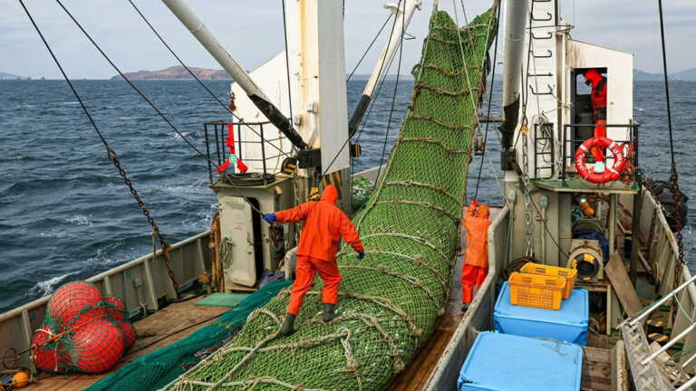 Общероссийский вылов водных биоресурсов превысил 4,3 млн тонн