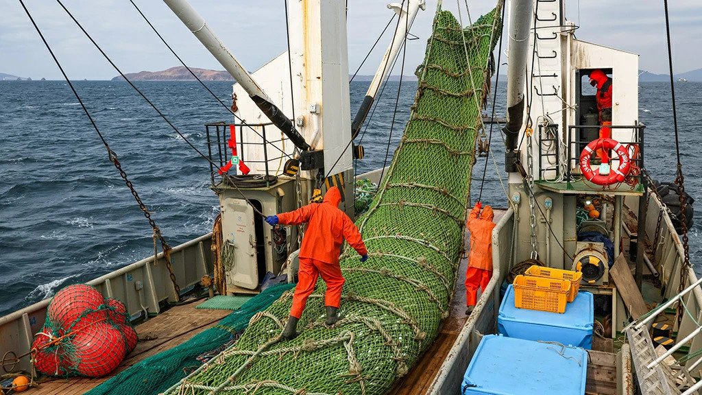 Общероссийский вылов водных биоресурсов превысил 4,3 млн тонн