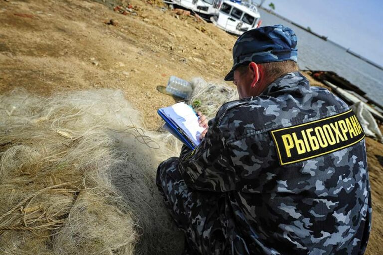 В регионах Северного Кавказа с начала года ликвидировано около 7 километров незаконно установленных орудий лова