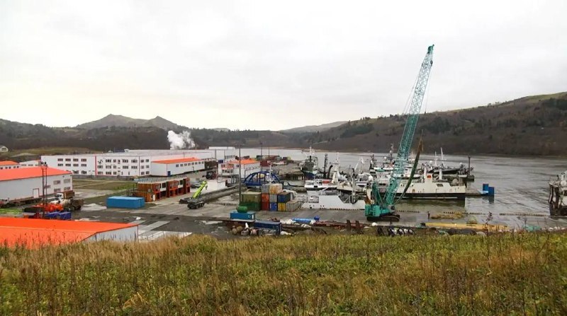 Новый завод на Шикотане за год переработал 26 тысяч тонн рыбы