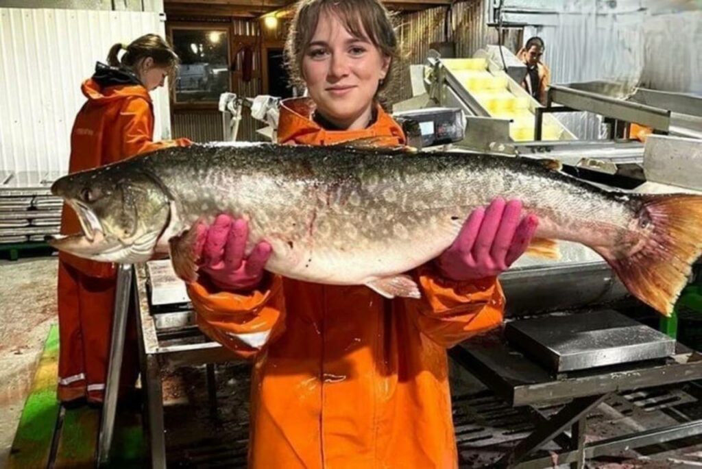 Студенческие путинные отряды растут: движение станет отдельным направлением в структуре Российских студенческих отрядов