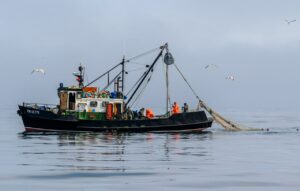 Михаил Мишустин дал поручения по итогам совещания Президента с членами Правительства о развитии рыбохозяйственного комплекса