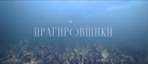 В России растет интерес к продукции из водорослей: как добывают «морское золото»