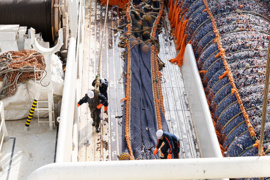 Общероссийский вылов достиг порядка 4,5 млн тонн