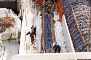 Общероссийский вылов достиг порядка 4,5 млн тонн