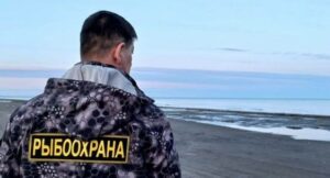 Эффективная работа рыбоохраны: на Дальнем Востоке снизился уровень браконьерства в период лососевой путины