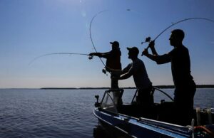 Развитие любительского рыболовства станет одним из приоритетных направлений работы Общественного совета при Росрыболовстве в 2026 году