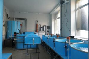 Современные стандарты образования: в керченском вузе Росрыболовства заработал Центр отраслевых компетенций