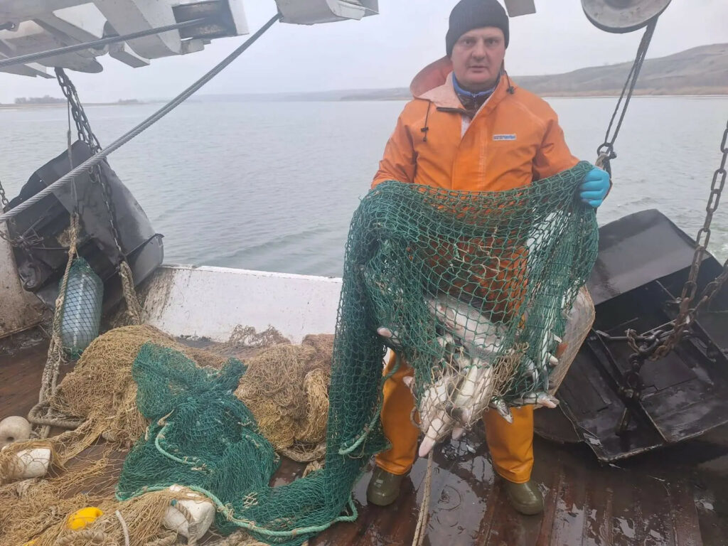 Средневолжским филиалом ВНИРО проведены наблюдения и сбор научного материала с использованием НИС «Василий Васильев» на всей акватории Цимлянского водохранилища