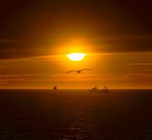 #УспешныйГод: российские специалисты разработали систему прогнозирования промысловой обстановки с помощью искусственного интеллекта