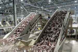 #УспешныйГод Развитие производства: в 2025 году сдано 3 рыбоперерабатывающих завода