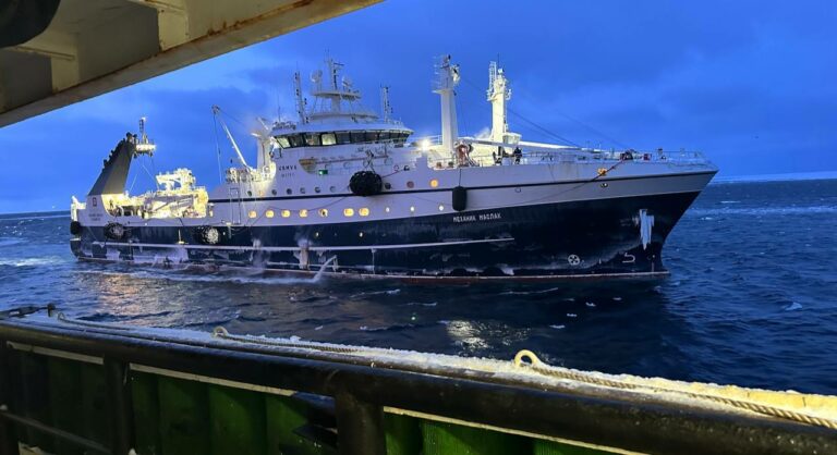 Охотоморская путина набирает обороты: дальневосточные рыбаки добыли более 122 тыс. тонн минтая