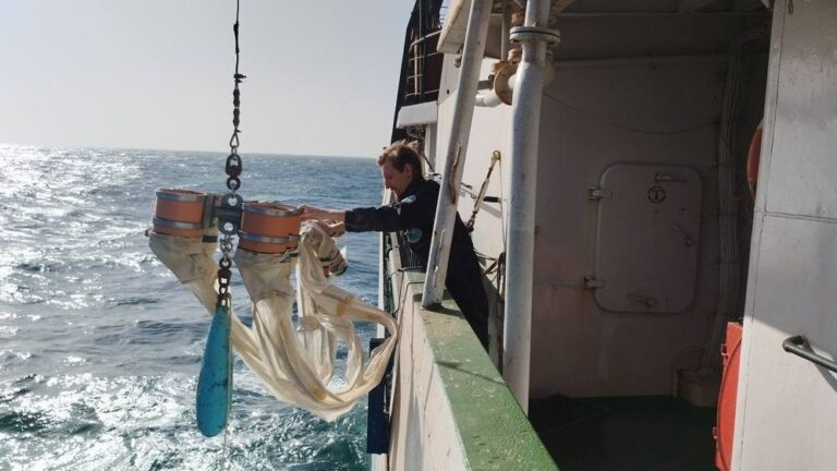 #УспешныйГод: завершается Большая африканская экспедиция