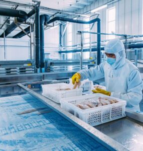 Оперативные данные: общероссийский вылов превысил 326 тыс. тонн