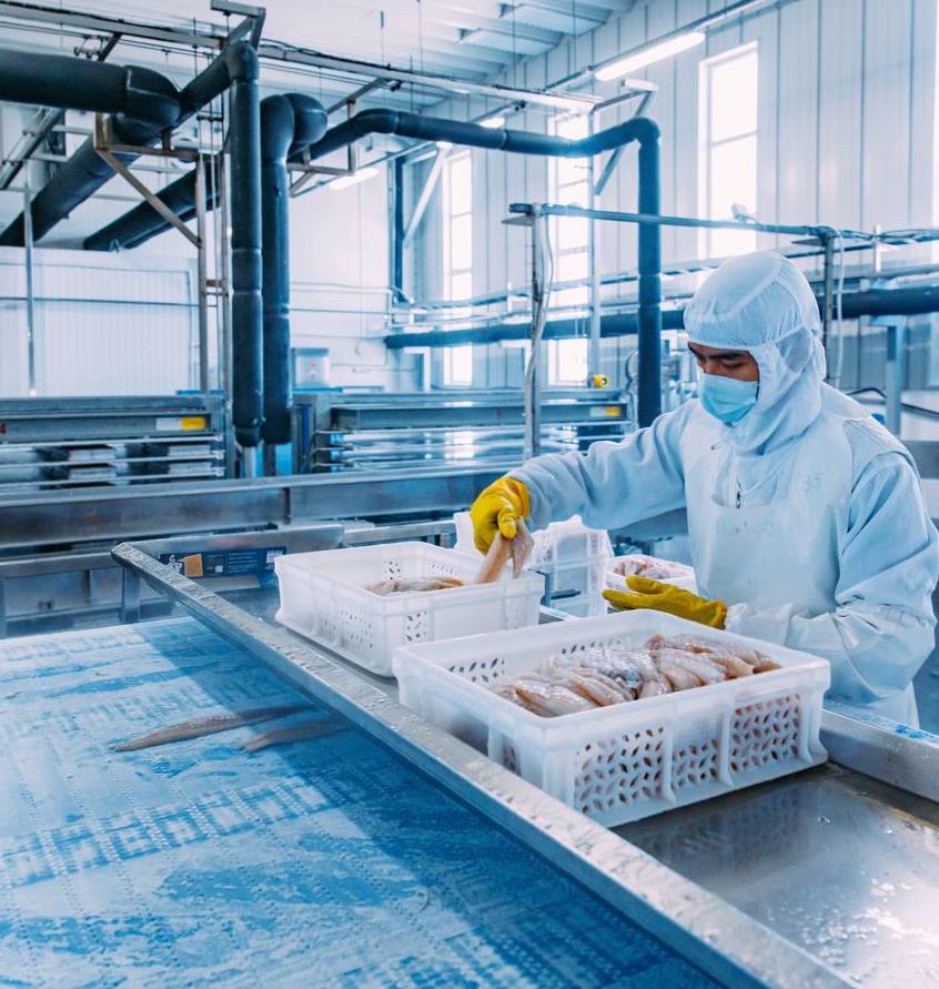 Оперативные данные: общероссийский вылов превысил 326 тыс. тонн